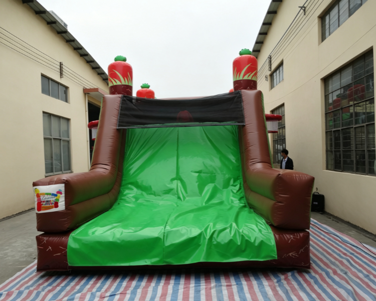 Commercial Looney Tunes Inflatable Obstacle Course - Image 5